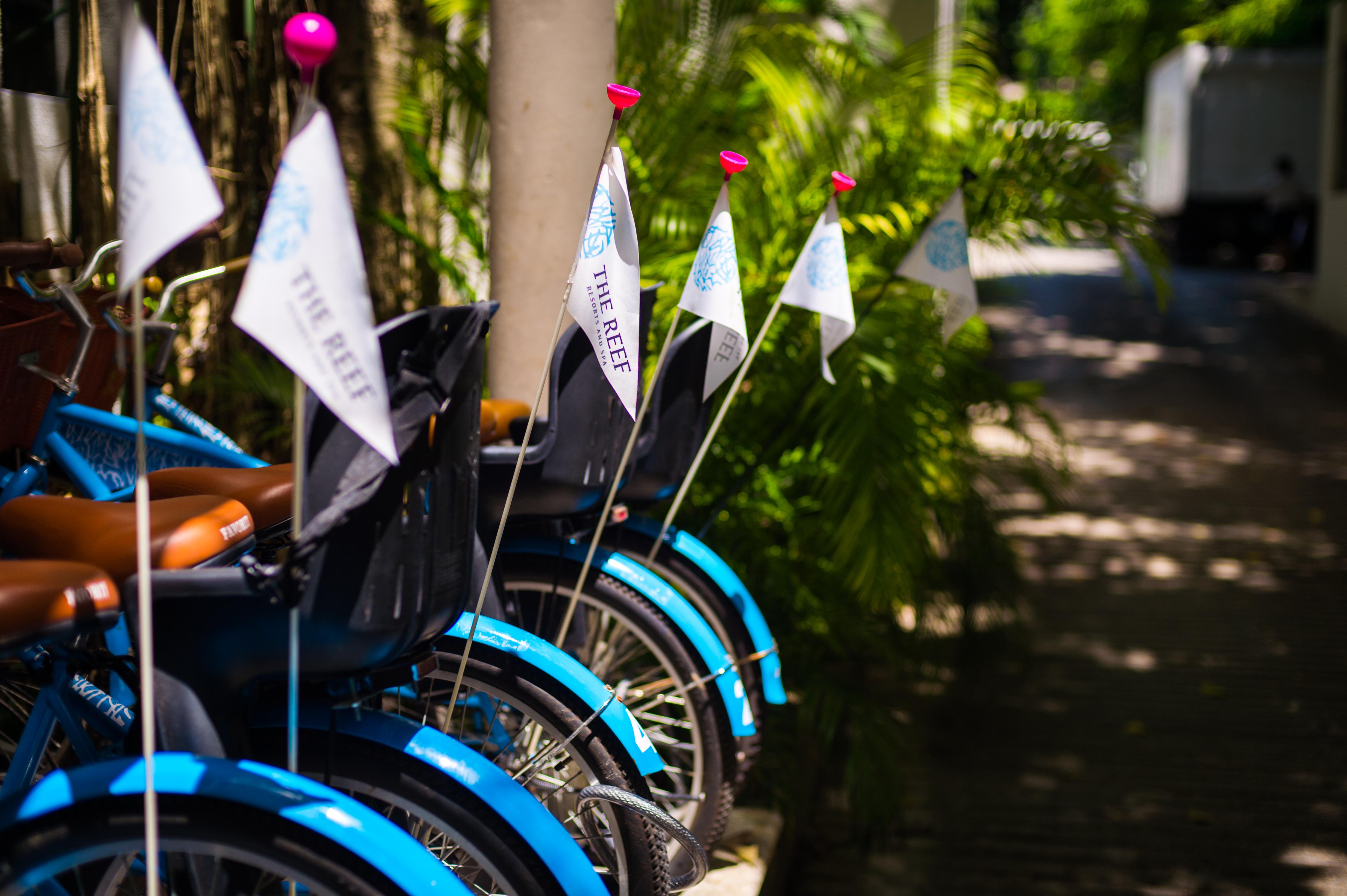 The Reef Playacar Beach Resort & Spa Playa del Carmen Ngoại thất bức ảnh